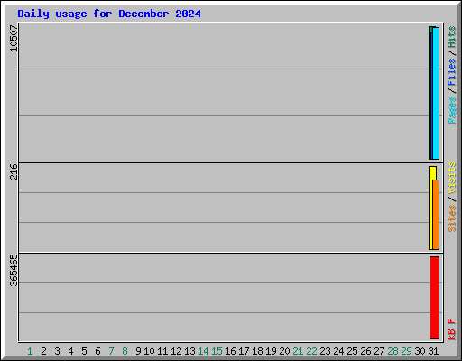 Daily usage for December 2024