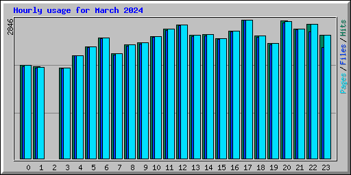 Hourly usage for March 2024