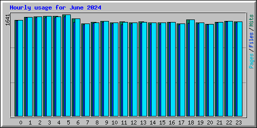 Hourly usage for June 2024