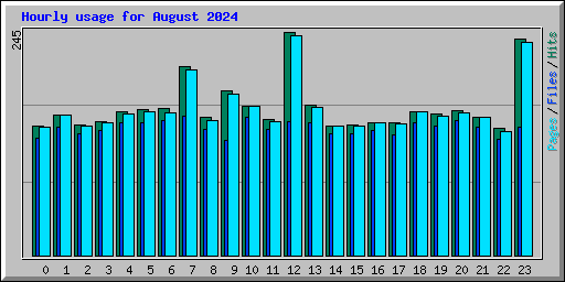 Hourly usage for August 2024