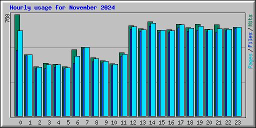 Hourly usage for November 2024