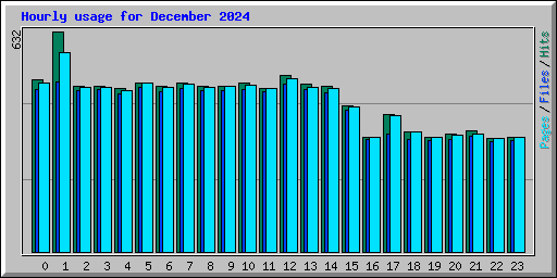 Hourly usage for December 2024