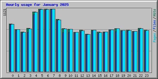 Hourly usage for January 2025