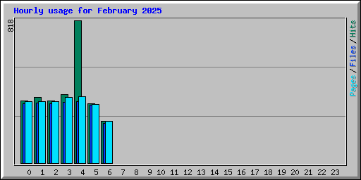 Hourly usage for February 2025