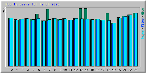 Hourly usage for March 2025