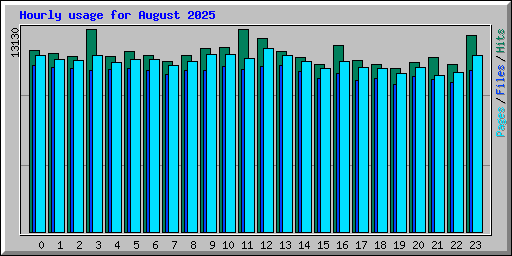 Hourly usage for August 2025