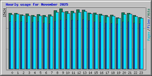 Hourly usage for November 2025
