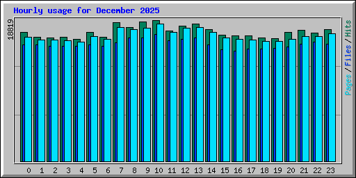 Hourly usage for December 2025