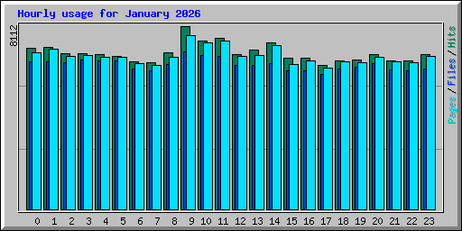 Hourly usage for January 2026