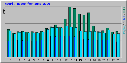 Hourly usage for June 2026