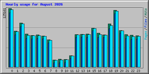 Hourly usage for August 2026
